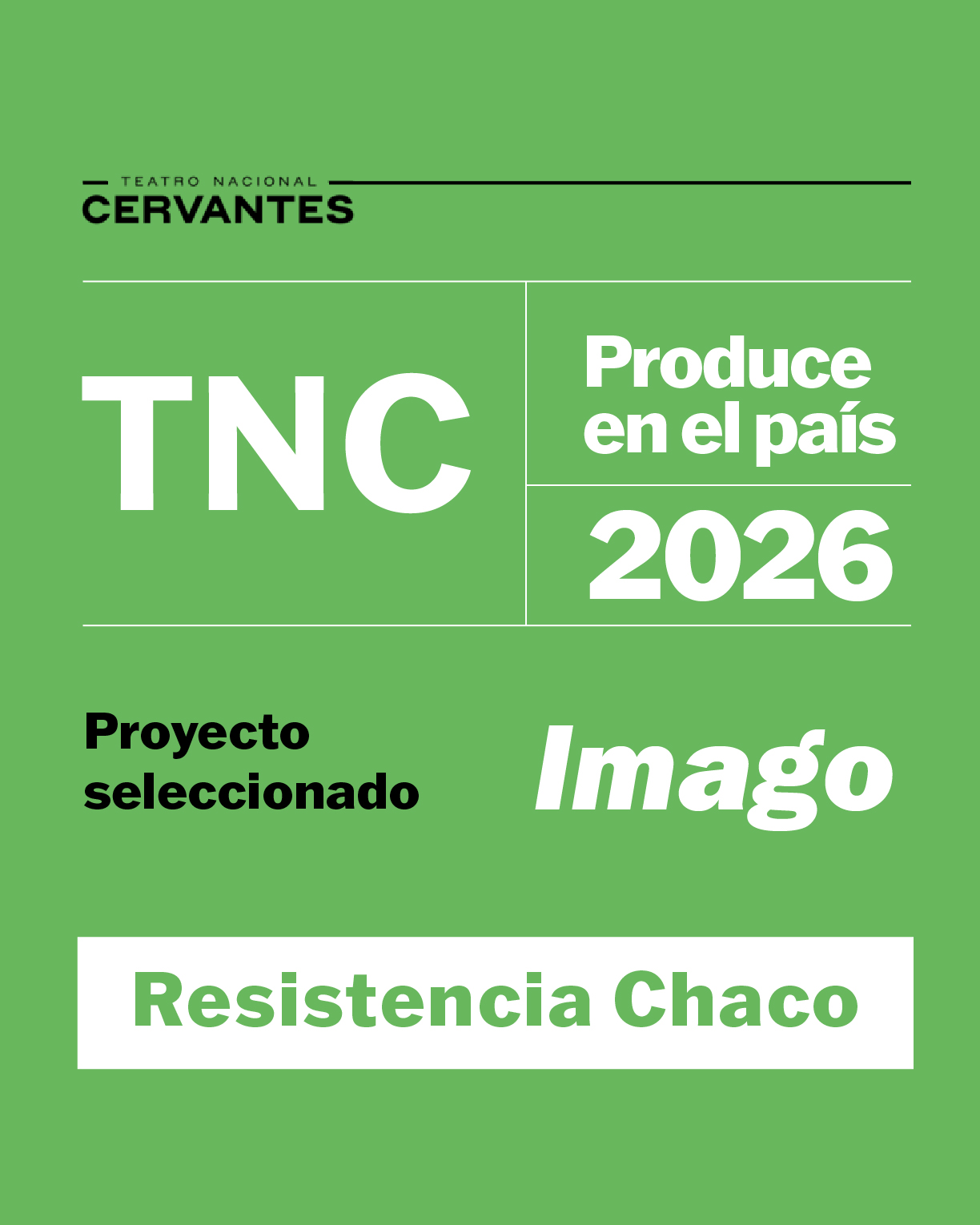foto perfil